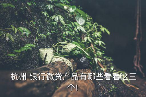  杭州 銀行微貸產(chǎn)品有哪些看看這三個!