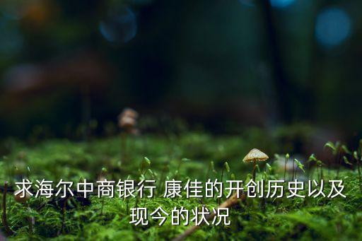 求海爾中商銀行 康佳的開創(chuàng)歷史以及現今的狀況