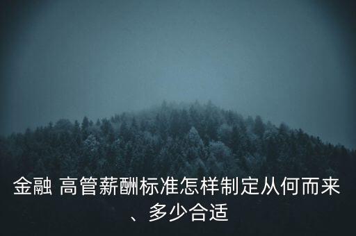 金融 高管薪酬標準怎樣制定從何而來、多少合適