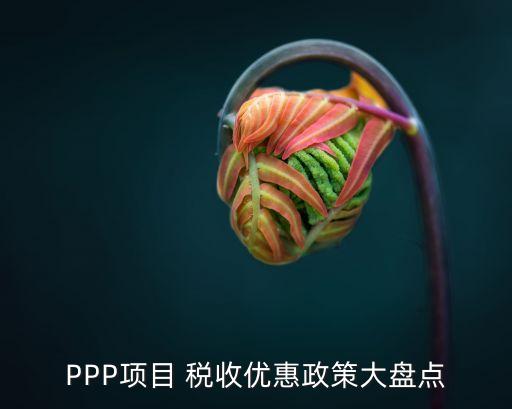 PPP項目 稅收優(yōu)惠政策大盤點