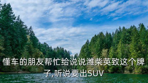 懂車的朋友幫忙給說(shuō)說(shuō)濰柴英致這個(gè)牌子,聽(tīng)說(shuō)要出SUV