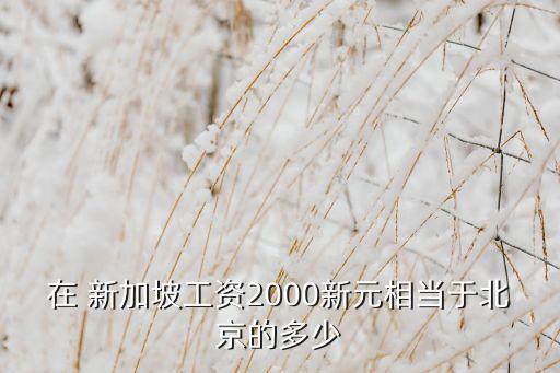 在 新加坡工資2000新元相當(dāng)于北京的多少