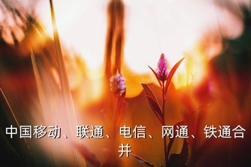 中國移動、聯(lián)通、電信、網(wǎng)通、鐵通合并