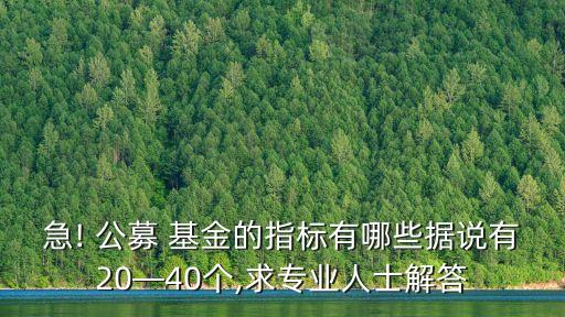 急! 公募 基金的指標(biāo)有哪些據(jù)說有20—40個(gè),求專業(yè)人士解答