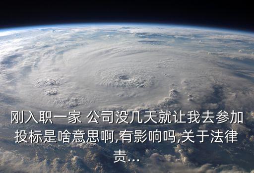 剛?cè)肼氁患?公司沒幾天就讓我去參加投標(biāo)是啥意思啊,有影響嗎,關(guān)于法律責(zé)...