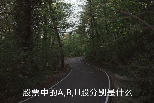  股票中的A,B,H股分別是什么