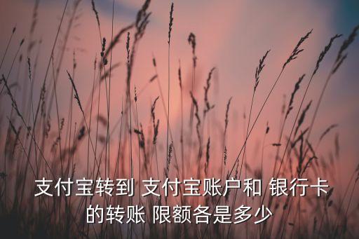  支付寶轉(zhuǎn)到 支付寶賬戶和 銀行卡的轉(zhuǎn)賬 限額各是多少