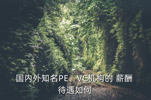 產(chǎn)業(yè)投資基金人員薪酬待遇分析