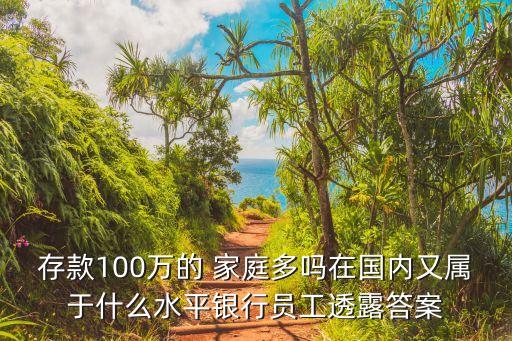 存款100萬的 家庭多嗎在國內(nèi)又屬于什么水平銀行員工透露答案