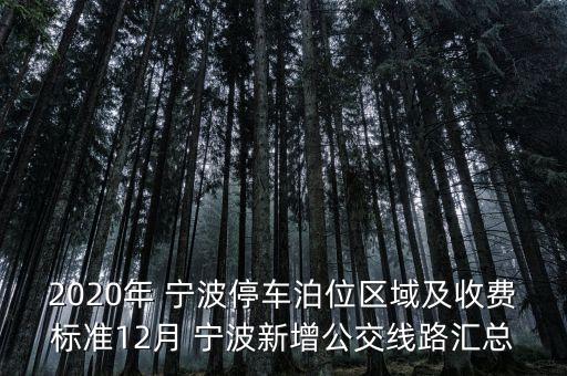 2020年 寧波停車泊位區(qū)域及收費標準12月 寧波新增公交線路匯總