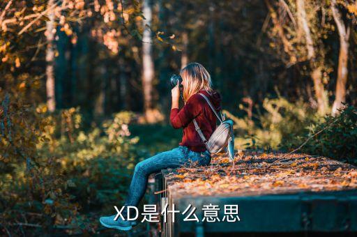 xd中國衛(wèi)星是什么意思,xd是什么意思 男女之間