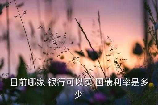 目前哪家 銀行可以買(mǎi) 國(guó)債利率是多少