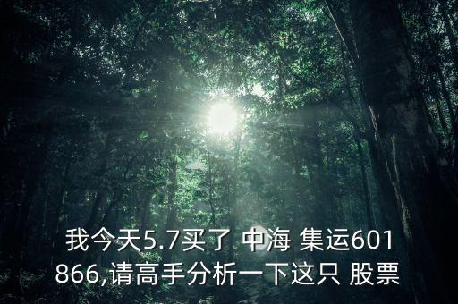 中海集運(yùn)股票何時復(fù)牌,6001866中海集運(yùn)股票