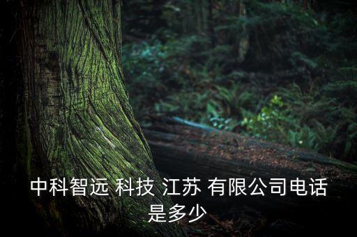 中科智遠(yuǎn) 科技 江蘇 有限公司電話是多少