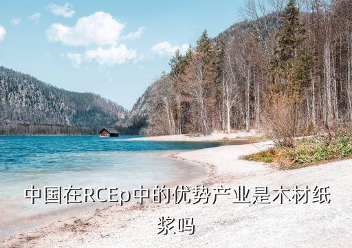 中國在RCEp中的優(yōu)勢產業(yè)是木材紙漿嗎