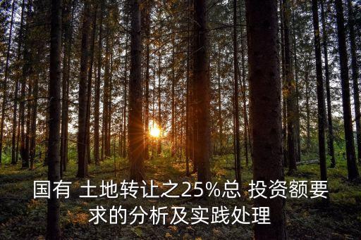 國(guó)有 土地轉(zhuǎn)讓之25%總 投資額要求的分析及實(shí)踐處理