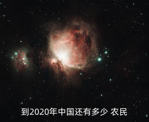 到2020年中國(guó)還有多少 農(nóng)民