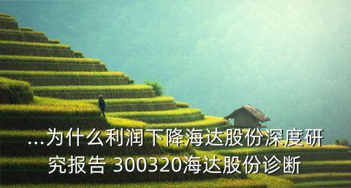 ...為什么利潤下降海達股份深度研究報告 300320海達股份診斷