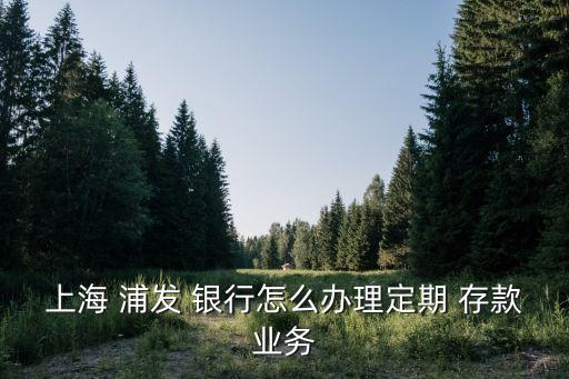 上海 浦發(fā) 銀行怎么辦理定期 存款業(yè)務(wù)