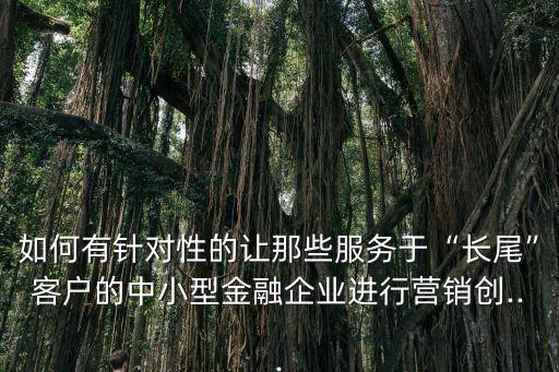 如何有針對性的讓那些服務(wù)于“長尾”客戶的中小型金融企業(yè)進(jìn)行營銷創(chuàng)...