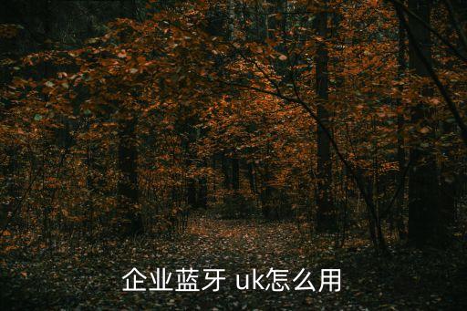 企業(yè)藍牙 uk怎么用