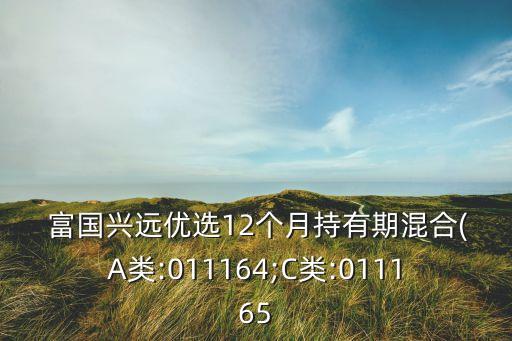  富國(guó)興遠(yuǎn)優(yōu)選12個(gè)月持有期混合(A類:011164;C類:011165