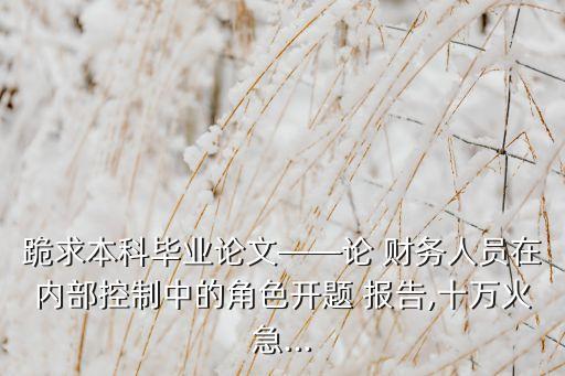 跪求本科畢業(yè)論文——論 財務(wù)人員在內(nèi)部控制中的角色開題 報告,十萬火急...