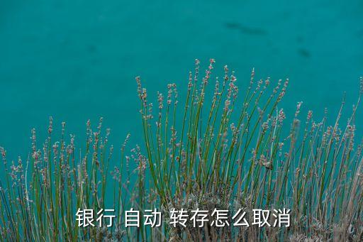  銀行 自動 轉(zhuǎn)存怎么取消