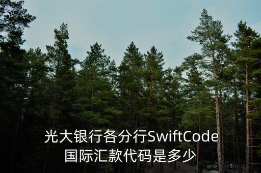 中國光大銀行西安東大街支行行號,光大銀行西安經(jīng)濟技術(shù)開發(fā)區(qū)支行