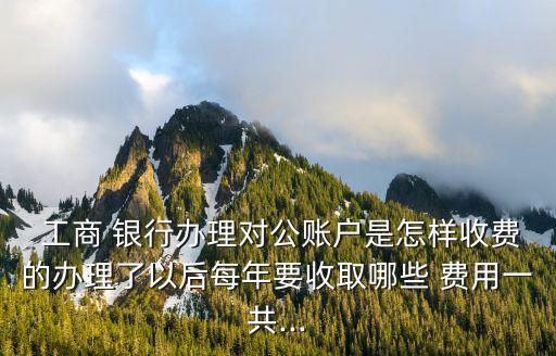  工商 銀行辦理對公賬戶是怎樣收費的辦理了以后每年要收取哪些 費用一共...