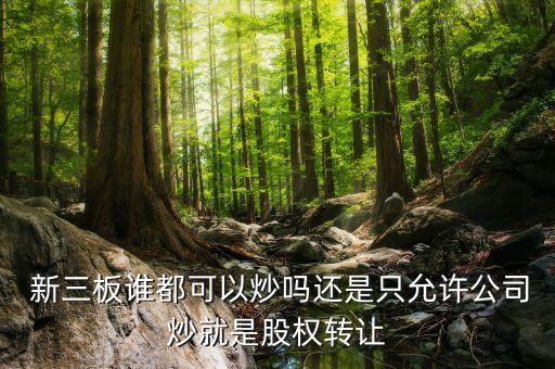  新三板誰都可以炒嗎還是只允許公司炒就是股權(quán)轉(zhuǎn)讓