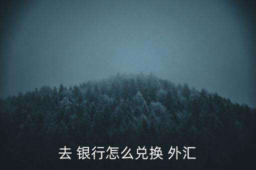 去 銀行怎么兌換 外匯