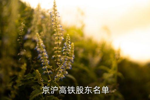 上海京滬投資管理有限公司