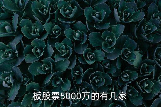 新三板股票5000萬(wàn)的有幾家