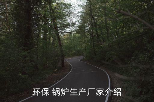 環(huán)保 鍋爐生產(chǎn)廠家介紹