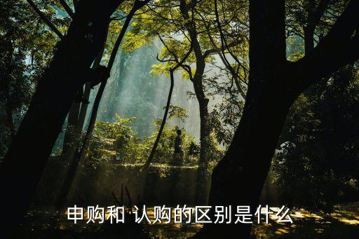 申購和 認購的區(qū)別是什么