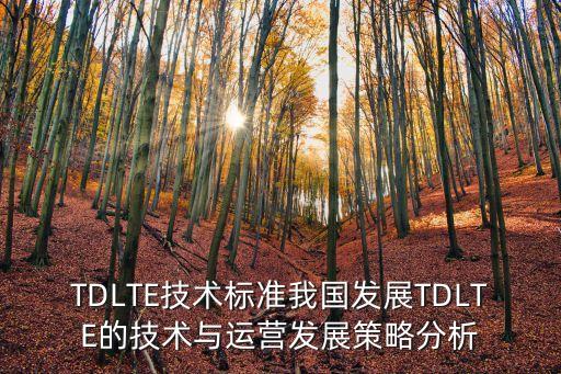 TDLTE技術標準我國發(fā)展TDLTE的技術與運營發(fā)展策略分析