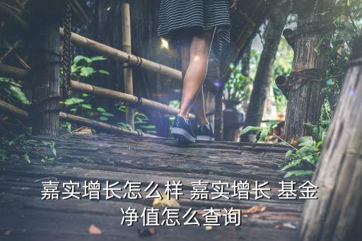  嘉實(shí)增長(zhǎng)怎么樣 嘉實(shí)增長(zhǎng) 基金 凈值怎么查詢