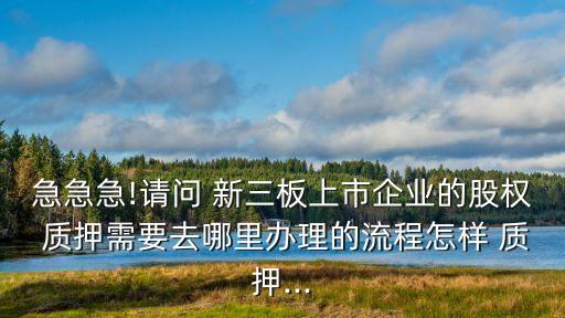 急急急!請問 新三板上市企業(yè)的股權(quán) 質(zhì)押需要去哪里辦理的流程怎樣 質(zhì)押...