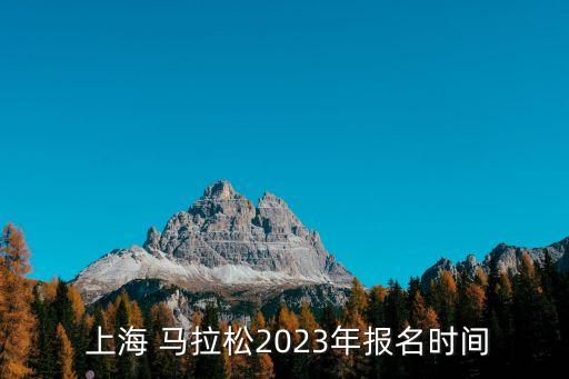  上海 馬拉松2023年報(bào)名時(shí)間