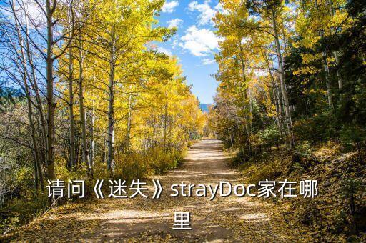 請問《迷失》strayDoc家在哪里