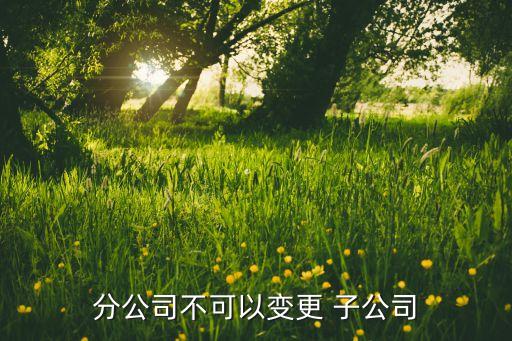 分支機構(gòu)轉(zhuǎn)讓子公司