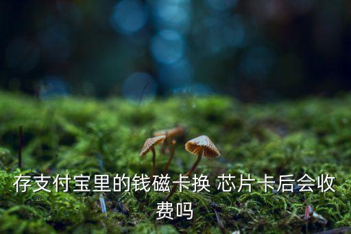 存支付寶里的錢磁卡換 芯片卡后會收費(fèi)嗎