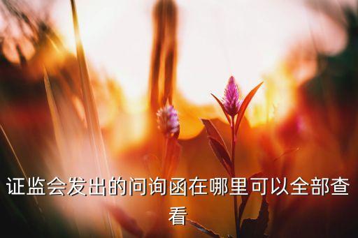 證監(jiān)會(huì)發(fā)出的問(wèn)詢函在哪里可以全部查看