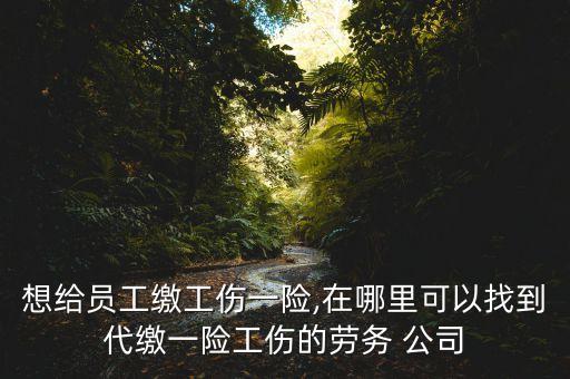 想給員工繳工傷一險(xiǎn),在哪里可以找到代繳一險(xiǎn)工傷的勞務(wù) 公司