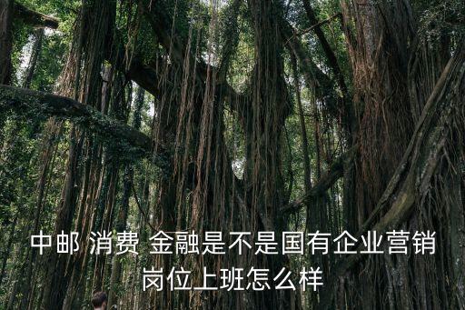 中郵 消費(fèi) 金融是不是國有企業(yè)營銷崗位上班怎么樣