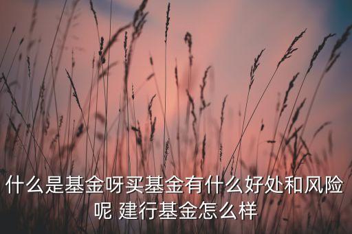 什么是基金呀買(mǎi)基金有什么好處和風(fēng)險(xiǎn)呢 建行基金怎么樣