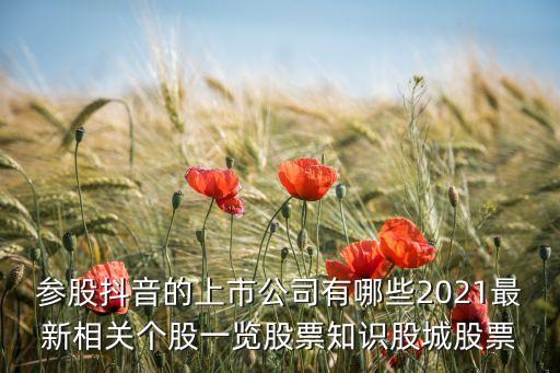 參股抖音的上市公司有哪些2021最新相關(guān)個(gè)股一覽股票知識(shí)股城股票