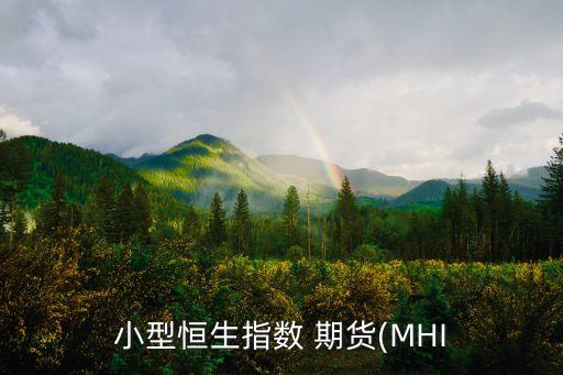 小型恒生指數(shù) 期貨(MHI