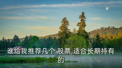 誰給我推薦幾個(gè) 股票,適合長期持有的